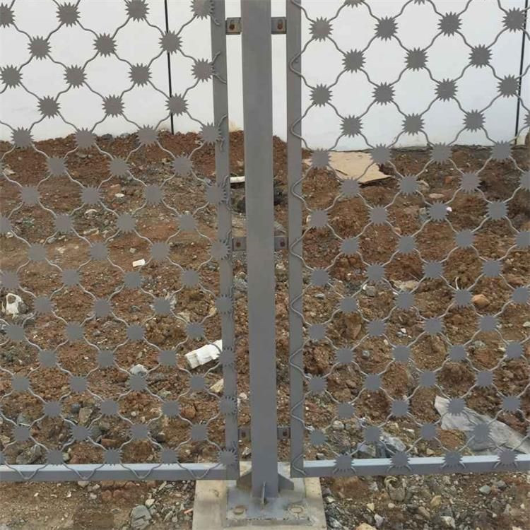 梅花刺監(jiān)獄防護(hù)網(wǎng)案例展示圖片4