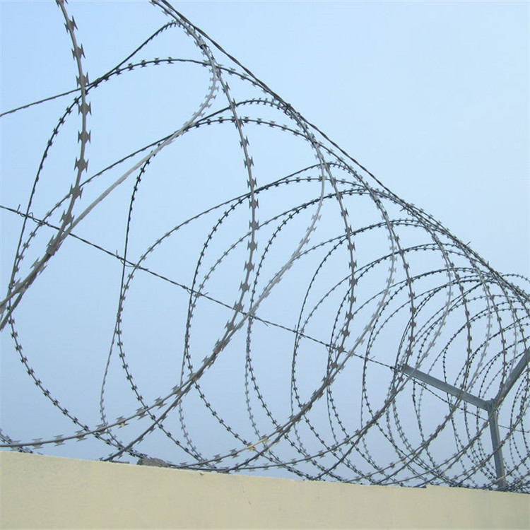 刀片刺網(wǎng)案例展示圖片1 刀片刺網(wǎng)案例展示圖片1