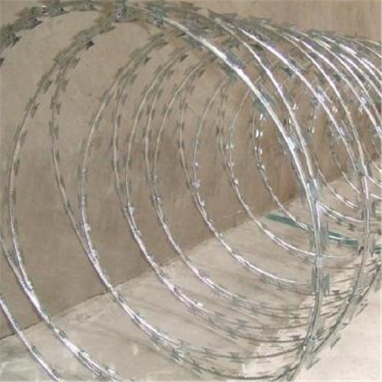 刀片剌網案例展示圖片2 刀片剌網案例展示圖片2